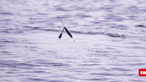 Het adjustable zig rig systeem is ideaal om te gebruiken voor het karpervissen op diep water!