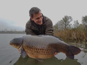 Er zwemmen op lac de tertre hele mooie karpers!!