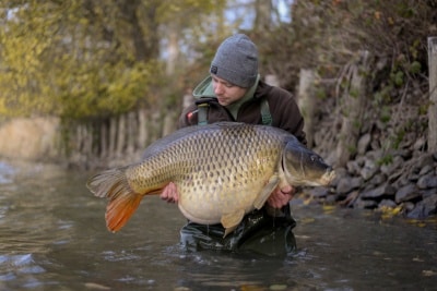 Karpervissen Terminal Set – 30 Stuks: Haken (6#), Aasschroeven En Stoppers – Voor Boilies En Ander Aas