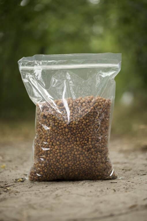 Tijger
